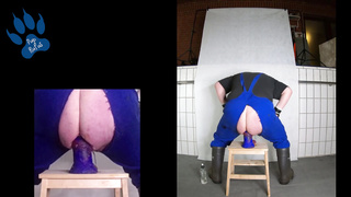 Stablepup Enjoing his Railing Lesson with Jorhan XL