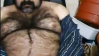 Big hairy bear and hairy body