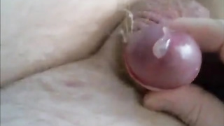 Cum 156 6