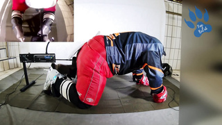 Hockey Pup getting used by F-Machine with six,8 Cm Plaything