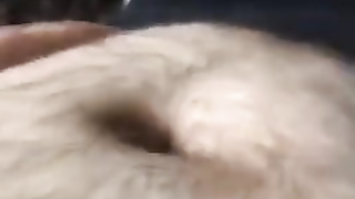 Chub Advise - ATROPHYBODY