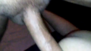 Straight latin baby daddy breeds me 2