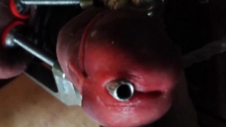 COCK AND BALL TORTURE with a stainless tube clothespins on sack and supah nut-juice