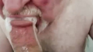 Daddy bear sucking cock 6