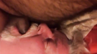 Daddy sucking  cub 2