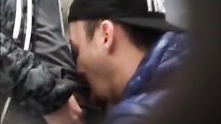 1 WC SPASS 2