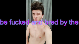 FELLOW TO HOMO SISSY CONCLUDE PROCESS AND GUIDE