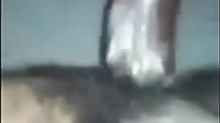 boi pussi gets wet.. 3