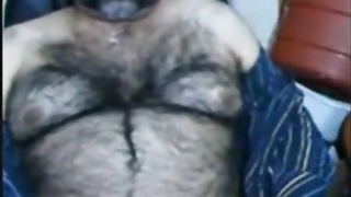 Big hairy bear and hairy body 2