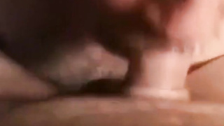 Daddy bear sucking cock 8