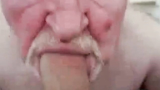 Daddy bear sucking cock 11