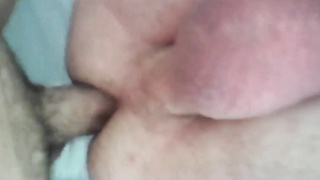 Craigslist Breeding 5