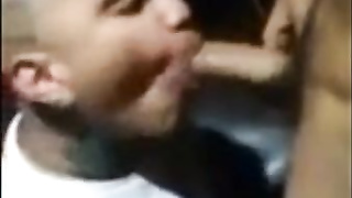 latino tattoer sucks to enter the gang of reminez 2