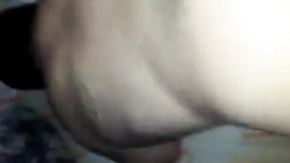 He likes the bear cock