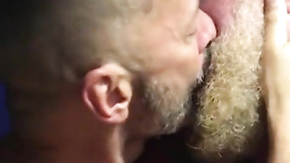 Hairy bears passionate kissing 2