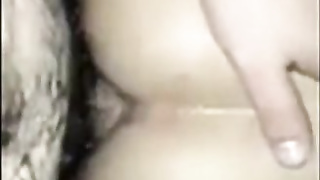 Bear giving hard to friend 4