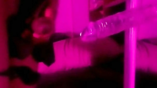 femboy plaything have fun