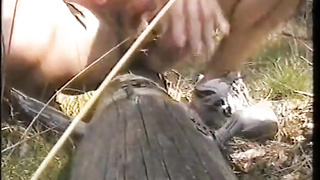 Humping a big tree trunk 4