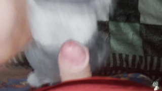 Parent Grizzly Fun#13