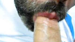 Daddy bear sucking cock 15