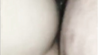 Black Bear Breeds Latino Twink 2