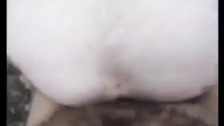 Now this is a bear who knows how to fuck in the woods 5