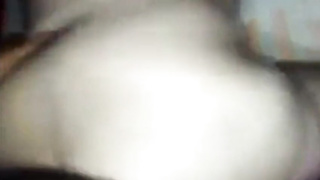 He likes the bear cock 3