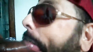 Bezerro carioca mamando os machos 7