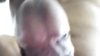 ESTA VERGA ESTA DE DESPOTISM