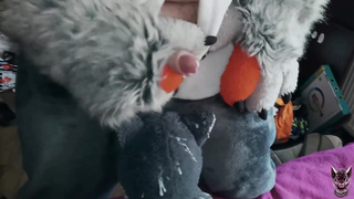 Freedy and Hauge mutt