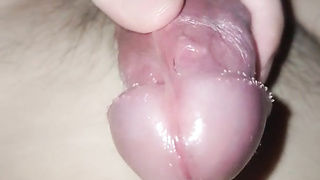 拇指挑逗淫荡的阴茎系带，它绷紧的像跟弦一样，然后就喷射了好多精液～