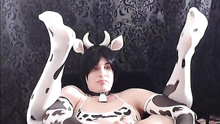 Cow Commission for Phil