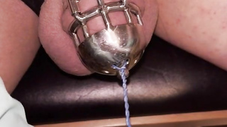 Virginity Sissyslut Jenny Weeny get lock in permanent v-card cell