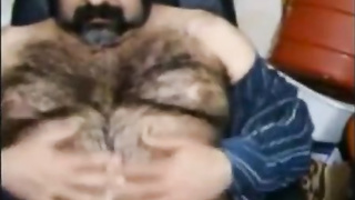 Big hairy bear and hairy body 6