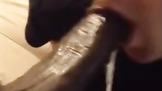 White Guy Sucking Black Dick 11