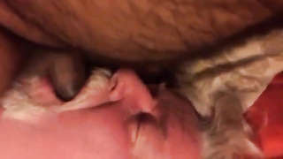 Daddy sucking  cub 10