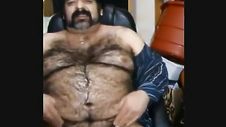 Big hairy bear and hairy body 7