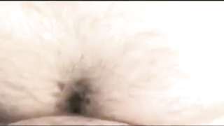 daddy and guy fucking outdoor near road 8