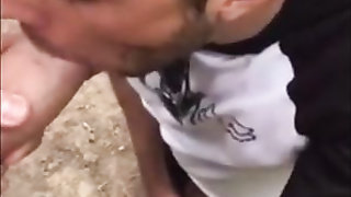 He sucks a big fat cock in the wood 9