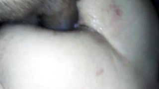 Straight latin baby daddy breeds me 11