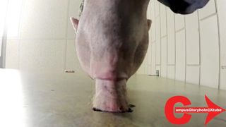 Campus Gloryhole 91 Meaty Ginger Pipe