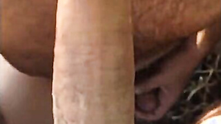 Blowjob at the beach 7