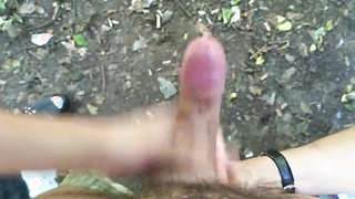 blowjob in the park 8