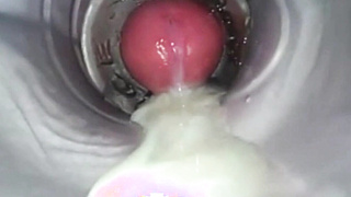 Massive Cumshots (Not Me) 6