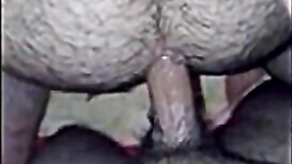 Turkish Bears Daddy Adventure