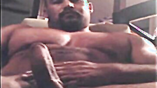 Muscular Amateur Bear