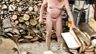 Silver Fox Strokes Wood at the Sawmill