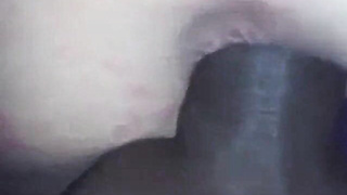 Black Bareback Amateur Interracial