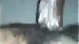 Black Bareback Amateur Takes Big Cock 2