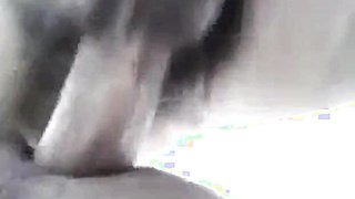 Daddy's Amateur Adventure 2